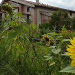 jardin-ecogites-baugnac