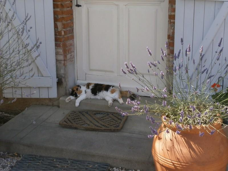 photo 34