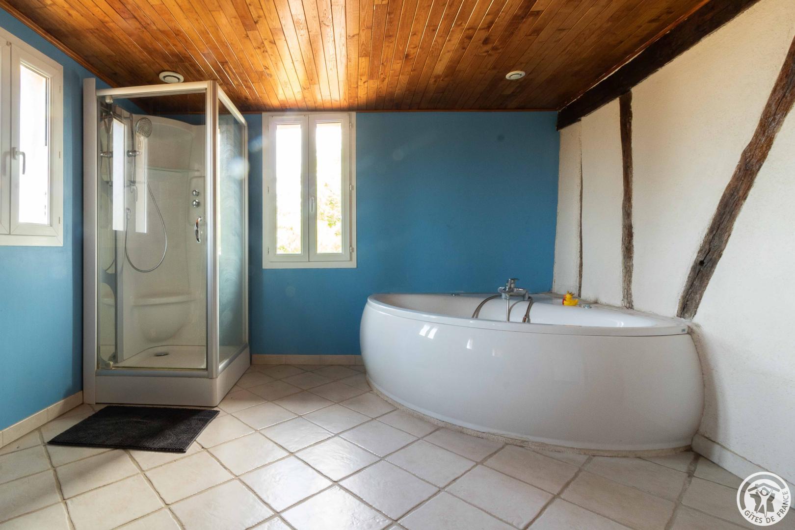 chambre-d-hotes-ferme-vidalet-fontenilles-chambre-angora-salle-de-bain-avec-baignoire-et-douche photo 20