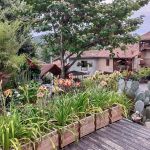 Jardin.G&icirc;te.L'Ourson.Montespan.Pyr&eacute;n&eacute;es