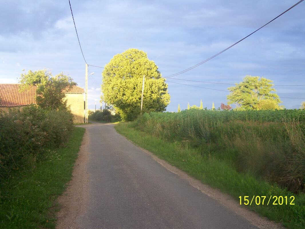 photo 37
