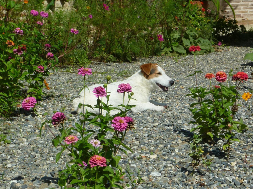 photo 40