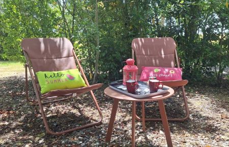 G&icirc;te n&deg;31G101297 Sainte-Foy-de-Peyroli&egrave;res - Haute-Garonne - D&eacute;tente exclusivement au Tilleul 